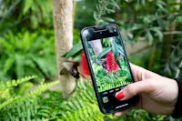 Museo Casa delle Farfalle