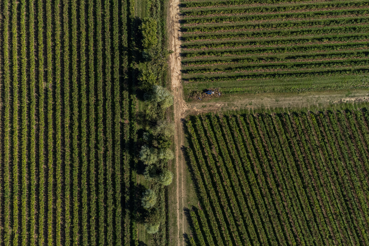 Azienda Agricola Bagnarol