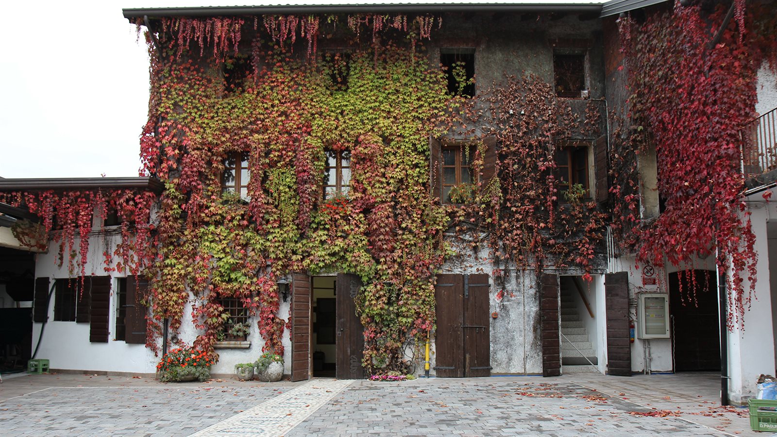 Distilleria Pagura