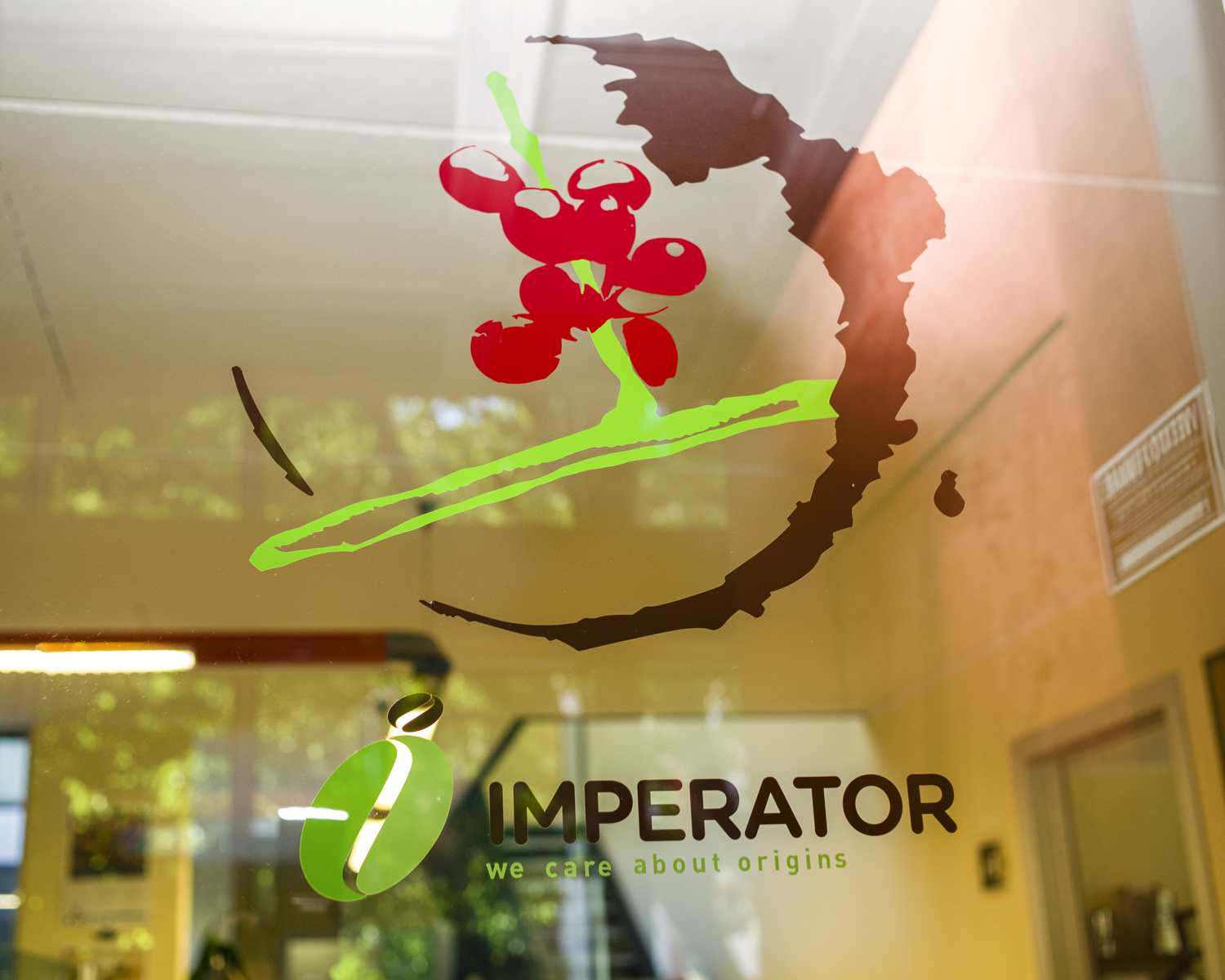 BLOOM COFFEE SCHOOL - Trieste