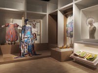 Wunderkammer, ITS ARCADEMY Trieste