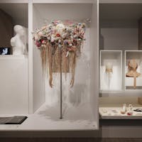 Wunderkammer, ITS ARCADEMY Trieste Wunderkammer, ITS ARCADEMY Trieste