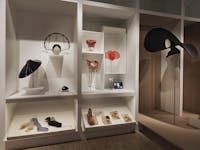 Wunderkammer, ITS ARCADEMY Trieste