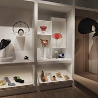 Wunderkammer, ITS ARCADEMY Trieste Wunderkammer, ITS ARCADEMY Trieste