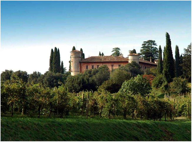 Rocca Bernarda - Azienda Vitivinicola