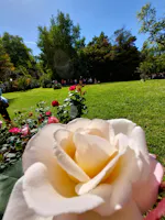 Era di Maggio Festa di Primavera