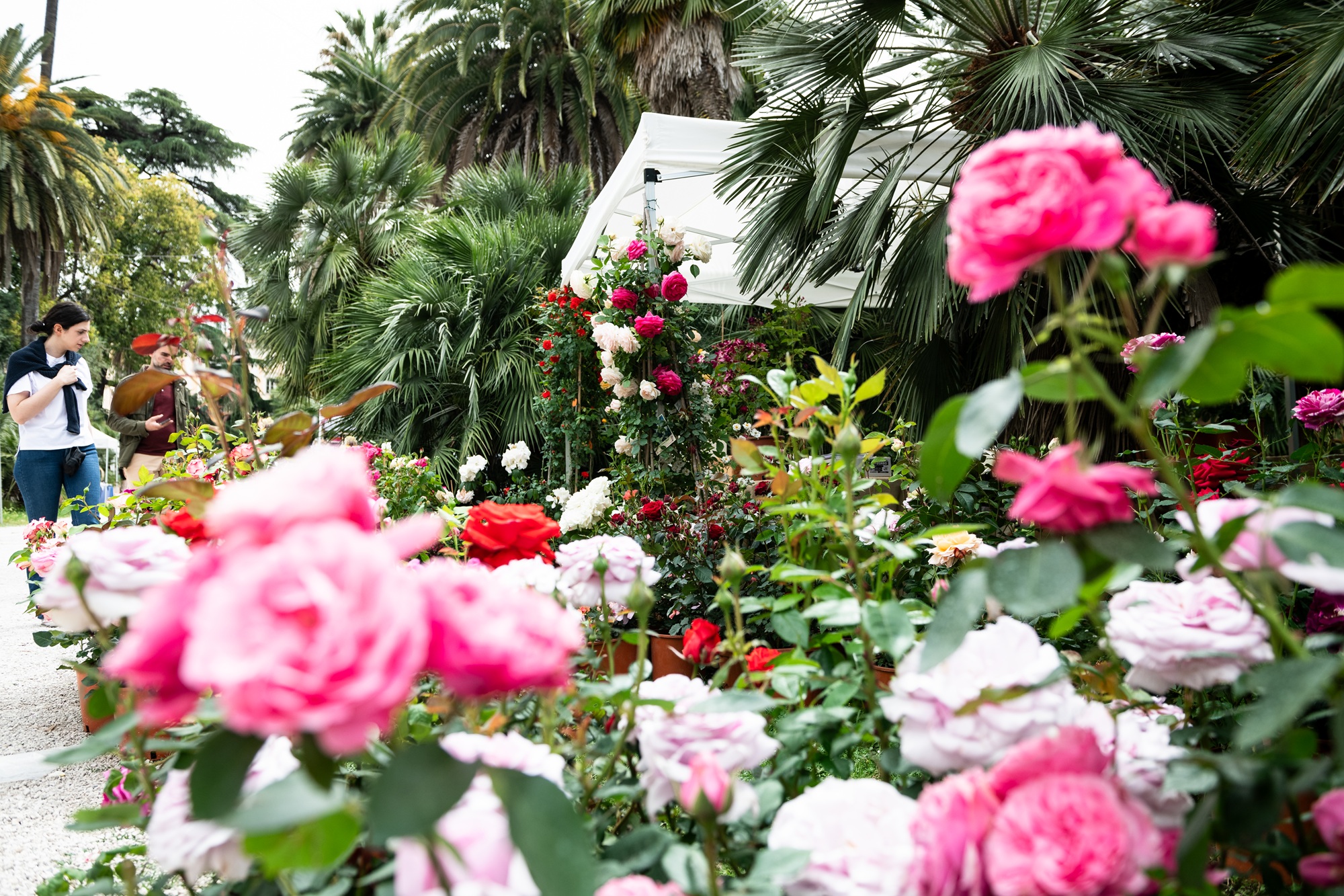 ERA DI MAGGIO - Roma