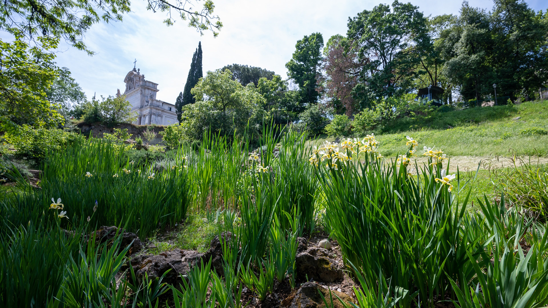 Orto Botanico, Università La Sapienza di Roma