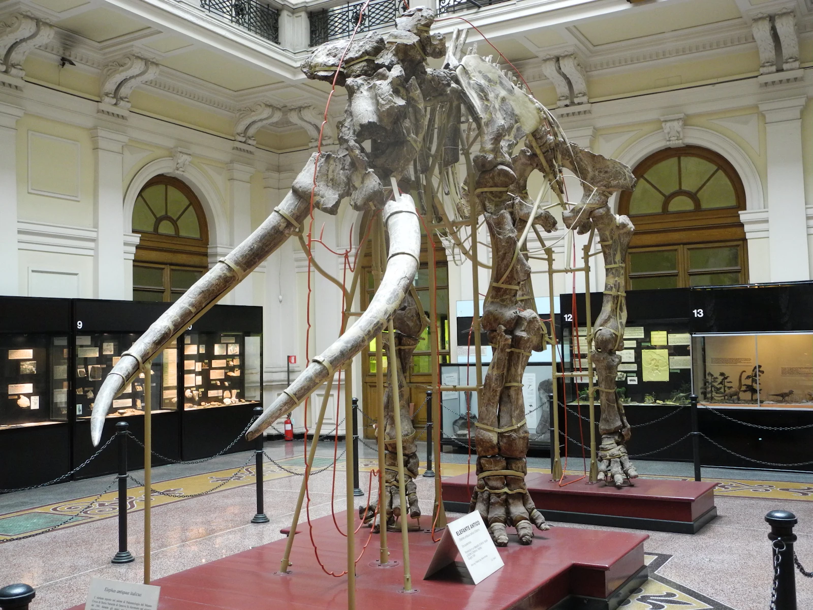 museo di storia naturale giacomo doria