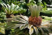 Villa Duranno - Santa Margherita Ligure, Villa Durazzo - Santa Margherita Ligure, SANTA MARGHERITA LIGURE (GE ) 