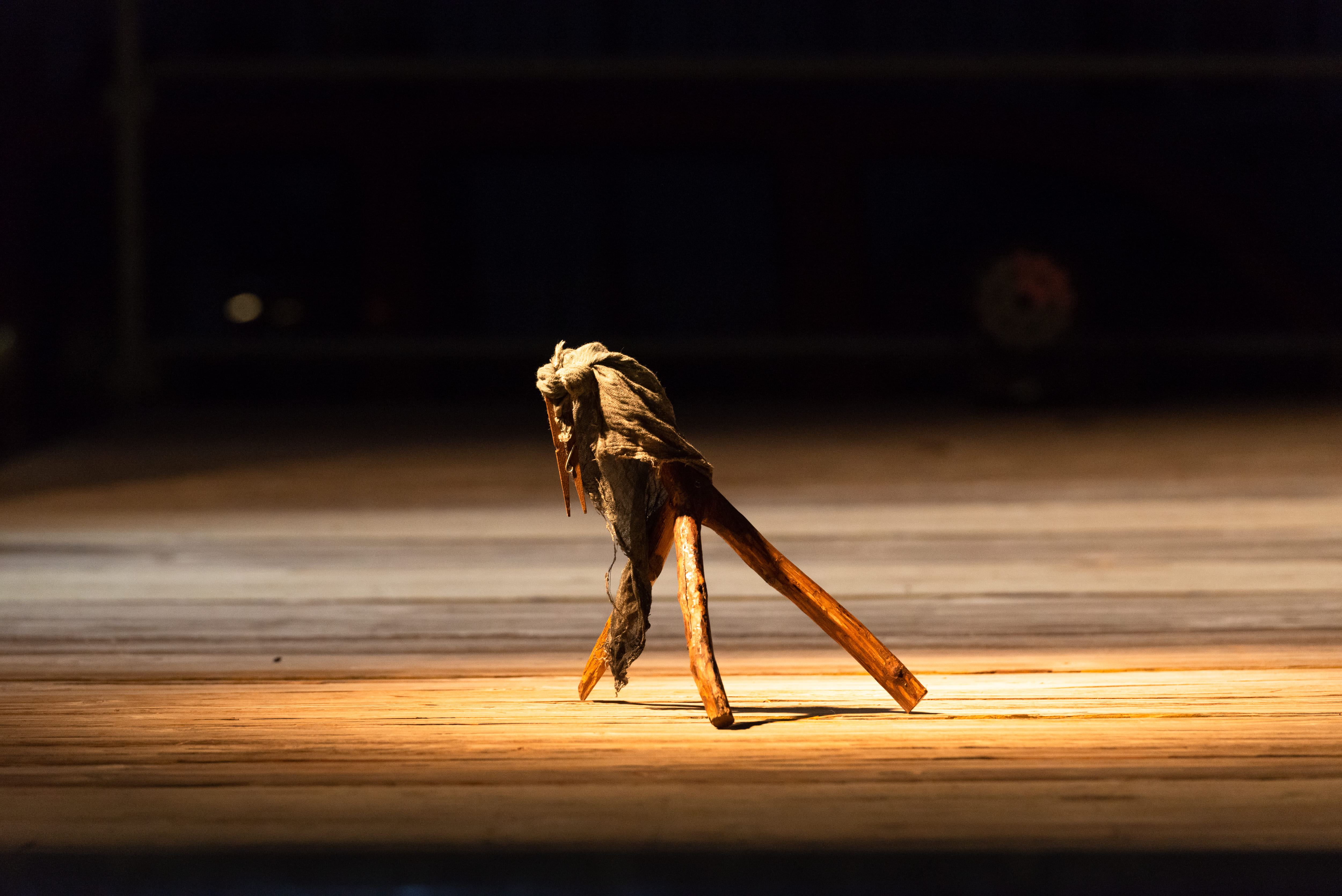 Un Brutto Anatroccolo