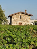 Azienda Agricola Angelo Pecis