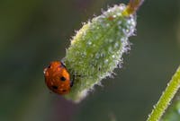 Spazio Cam Spazio Cam