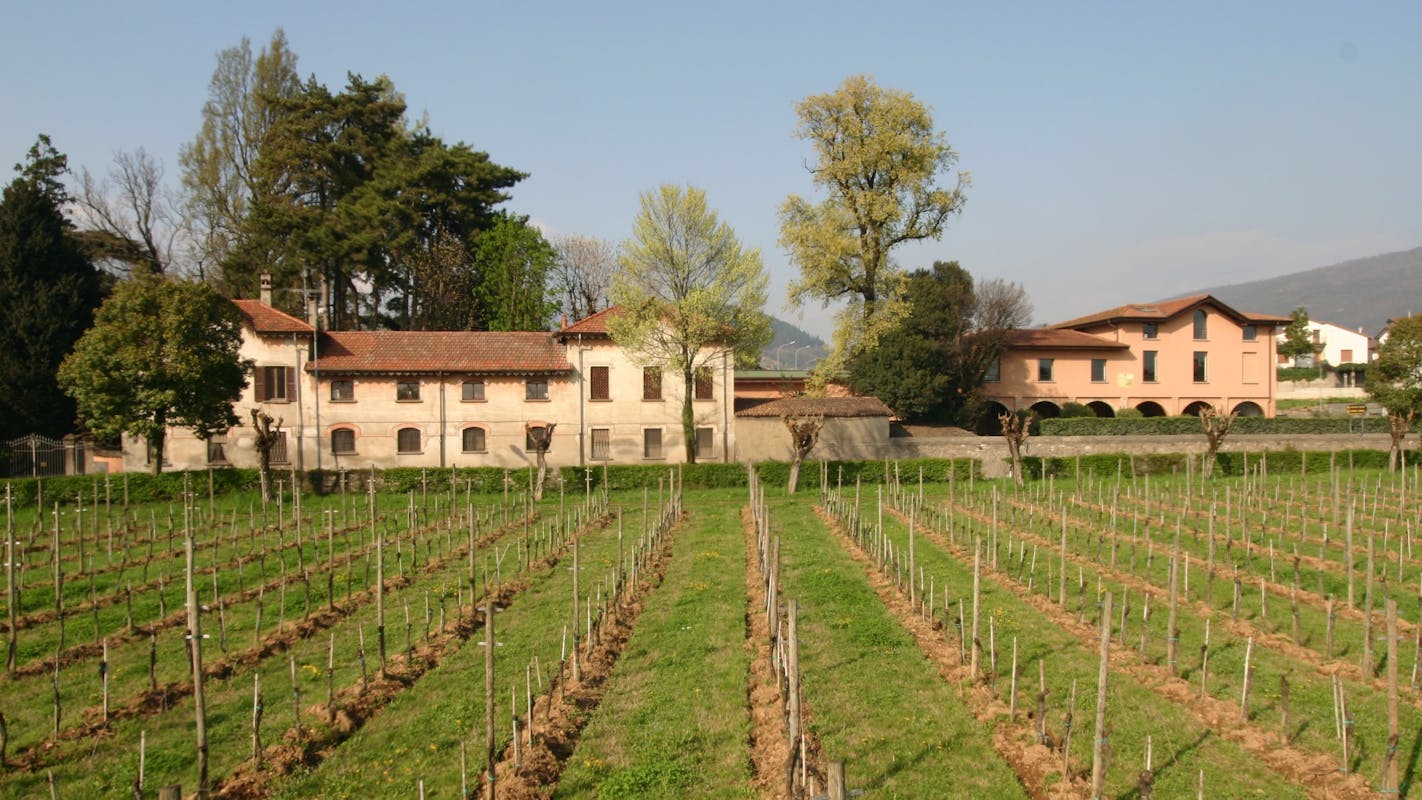 Azienda Agricola Ricci Curbastro Azienda Agricola Ricci Curbastro