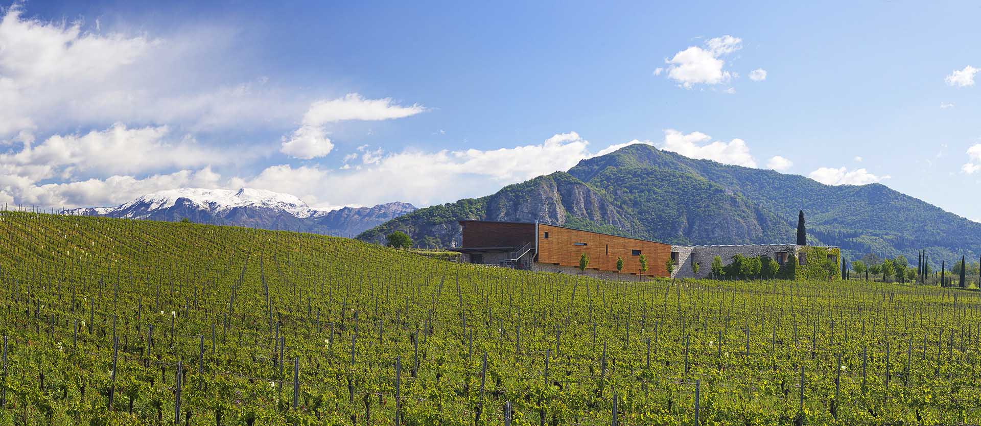 Cantina Barone Pizzini - Provaglio d'Iseo (BS)