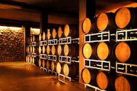 Azienda Vitinivicola Barone Pizzini - Provaglio d Iseo Azienda Vitinivicola Barone Pizzini - Provaglio d Iseo, Azienda Vitivinicola Barone Pizzini, PROVAGLIO D'ISEO (BS )