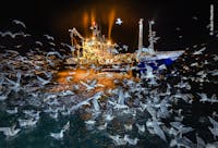 © Audun Rickardsen, courtesy Wildlife Photographer of the Year