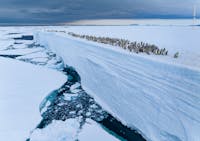 © Bertie Gregory, Wildlife Photographer of the Year © Bertie Gregory, Wildlife Photographer of the Year