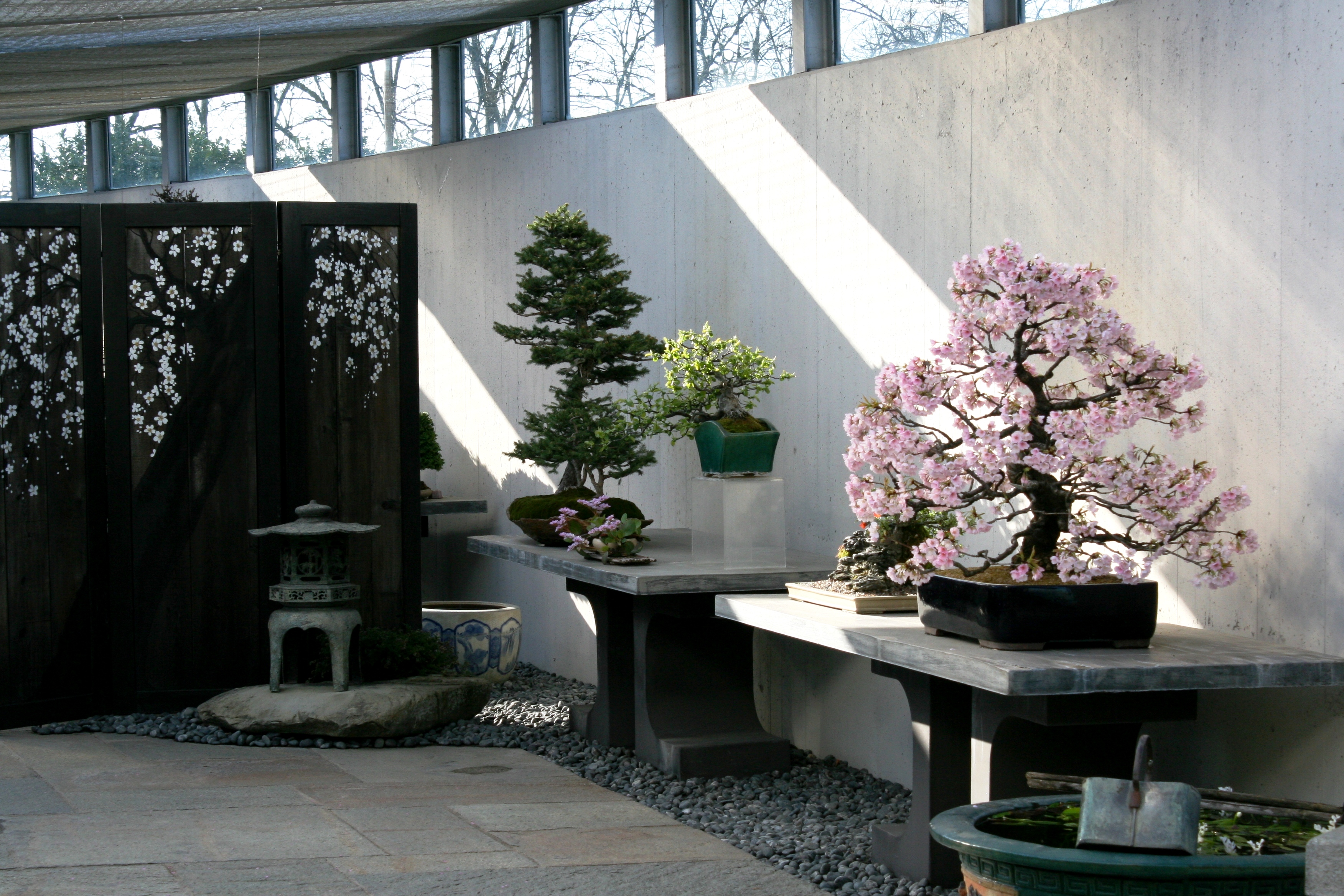 Galleria esterna, Crespi Bonsai Museum