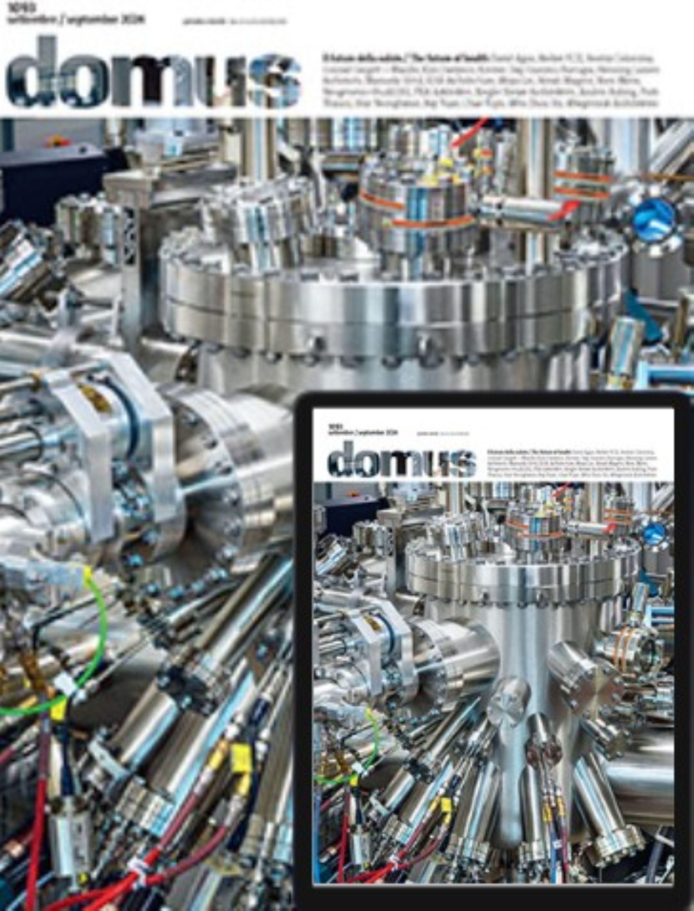 Domus rivista