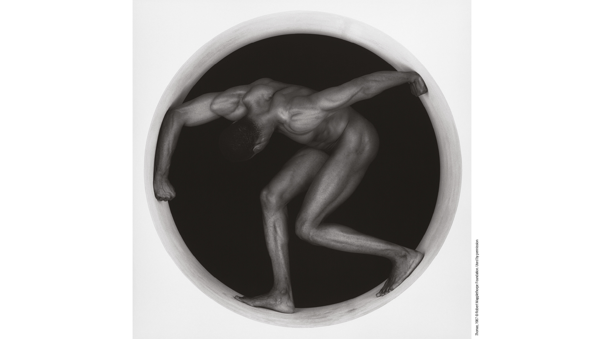 ROBERT MAPPLETHORPE Le forme del desiderio, Palazzo Reale