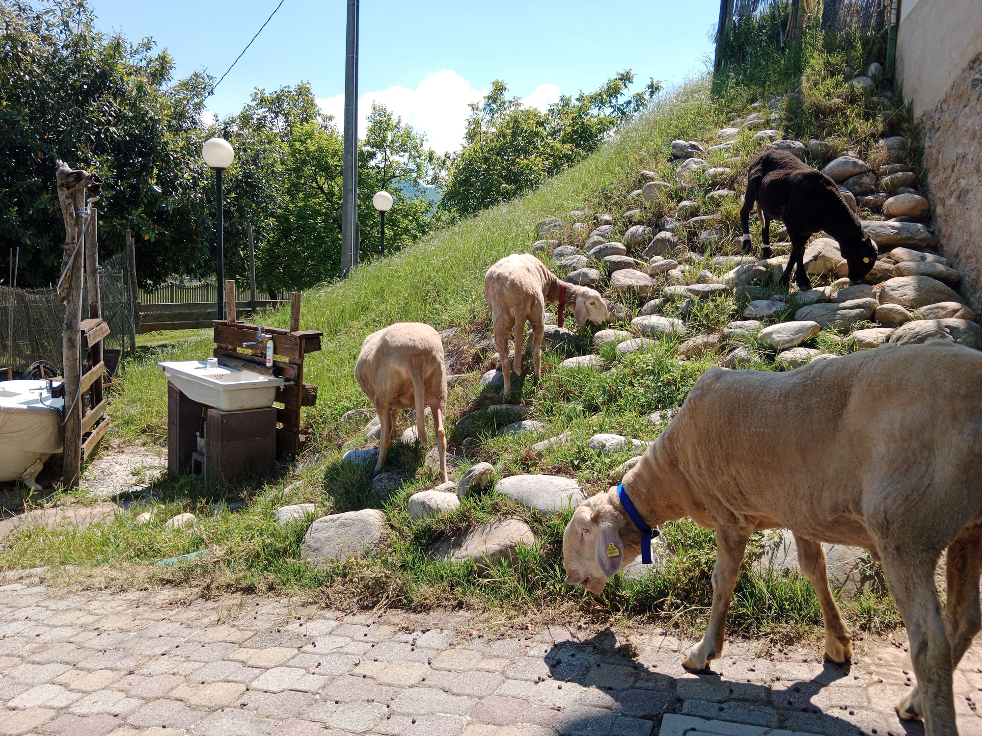 B&B Casello KM 5