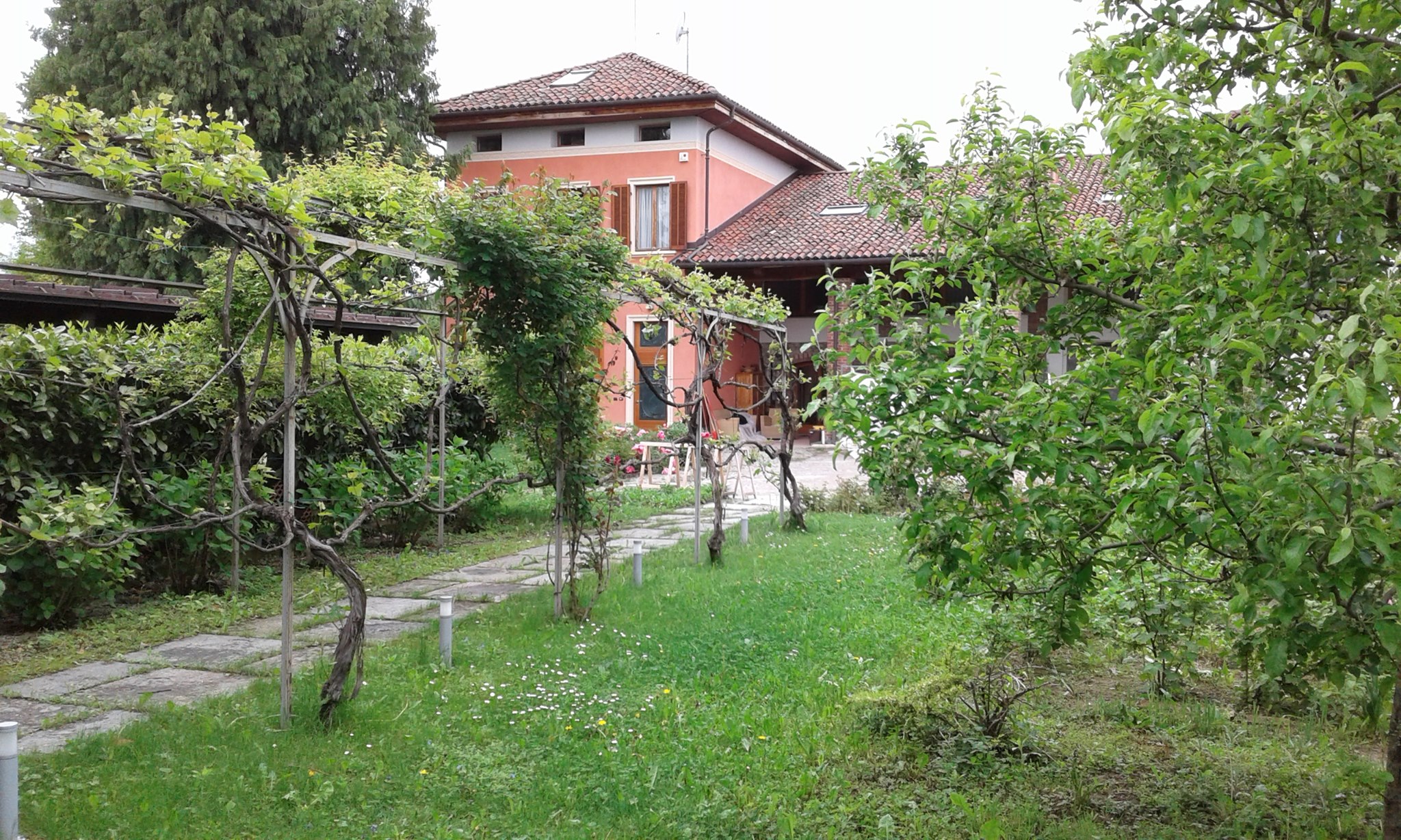 B&B IN VIRIDI