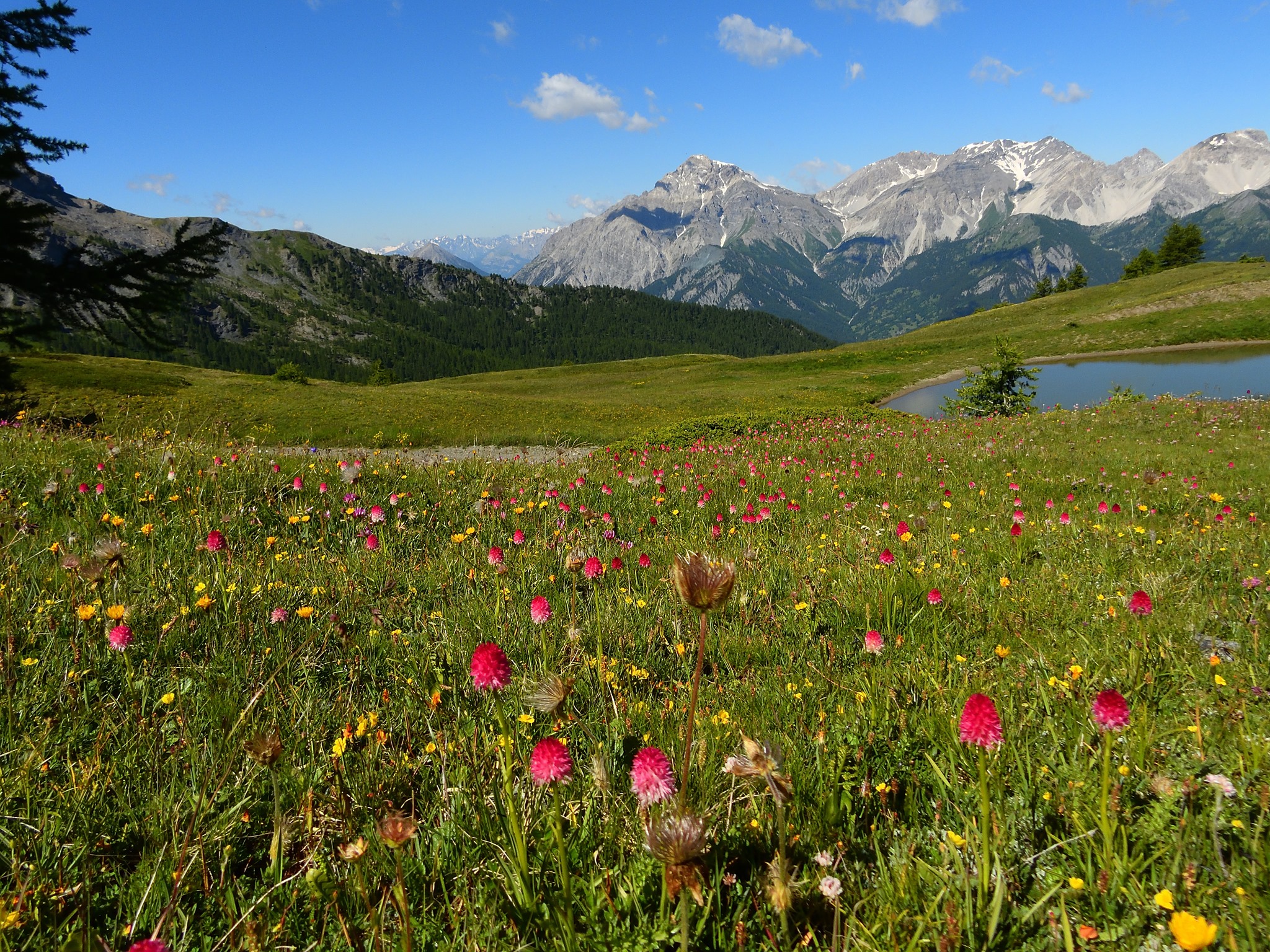 consorzio turistico sauze d'oulx