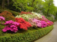 Giardini Villa Taranto - Verbania Giardini Villa Taranto - Verbania, Giardini di Villa Taranto, VERBANIA (VB )