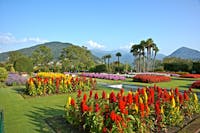 Giardini Villa Taranto - Verbania Giardini Villa Taranto - Verbania, Giardini di Villa Taranto, VERBANIA (VB )