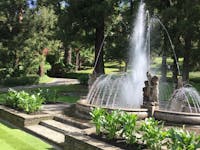 Giardini Villa Taranto - Verbania Giardini Villa Taranto - Verbania, Giardini di Villa Taranto, VERBANIA (VB )