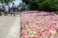 Giardini di Villa Taranto, Verbania Giardini di Villa Taranto, Verbania