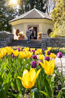 Giardini di Villa Taranto, Verbania