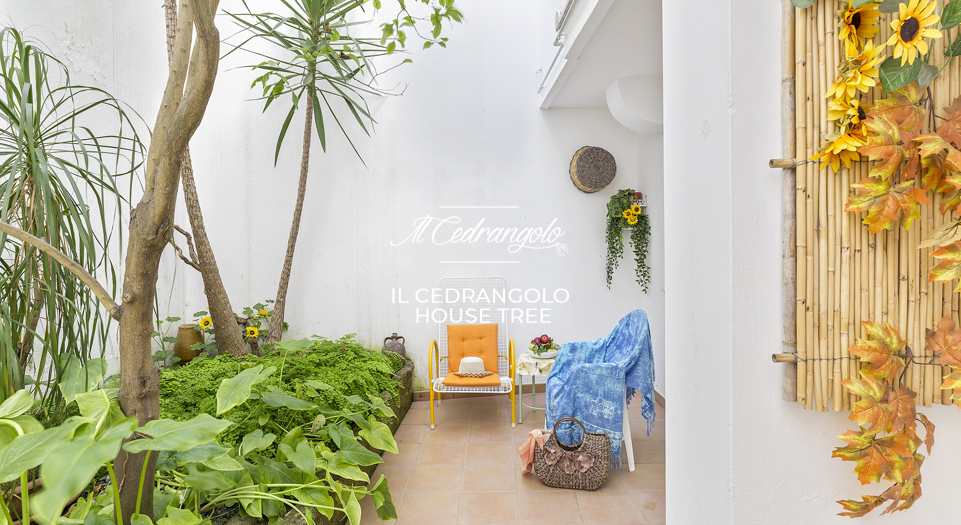 Il Cedrangolo House a Monopoli (BA)