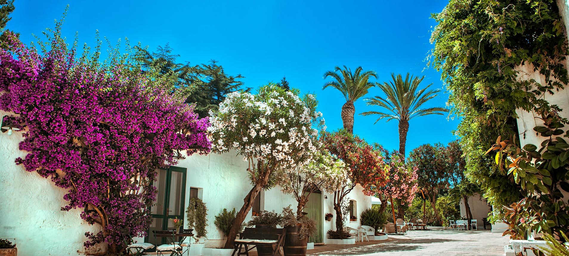 Masseria Il Frantoio - Ostuni