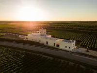 TORLEANZI - Masseria Wine Relais & Vigneti