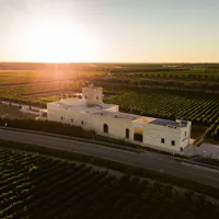 TORLEANZI - Masseria Wine Relais & Vigneti TORLEANZI - Masseria Wine Relais & Vigneti