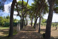 Agri Bio Relais Filippo De Raho - esterni Agri Bio Relais Filippo De Raho - esterni, Agri Bio Relais - Filippo De Raho, LECCE (LE )