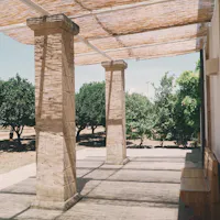 Azienda Agricola Taurino, Squinzano (LE) Azienda Agricola Taurino, Squinzano (LE)