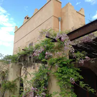 Masseria Caretti Grande - Lecce Masseria Caretti Grande - Lecce, Masseria Caretti Grande, LECCE (LE )