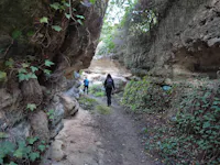 Cicale di Puglia Cicale di Puglia