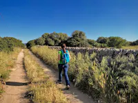 Cicale di Puglia Cicale di Puglia