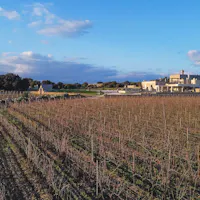 Masseria Cuturi 1881 Masseria Cuturi 1881