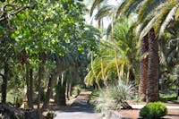 Giardino Partenò del Toscano, Giardino Botanico Parco Paternò del Toscano, SANT'AGATA LI BATTIATI (CT ) 