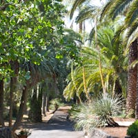 Giardino Partenò del Toscano Giardino Partenò del Toscano, Giardino Botanico Parco Paternò del Toscano, SANT'AGATA LI BATTIATI (CT )