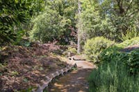 Giardino Parco Paternò del Toscano, Giardino Botanico Parco Paternò del Toscano, SANT'AGATA LI BATTIATI (CT ) 