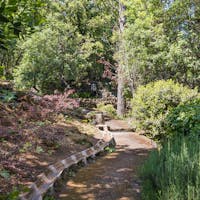 Giardino Parco Paternò del Toscano Giardino Parco Paternò del Toscano, Giardino Botanico Parco Paternò del Toscano, SANT'AGATA LI BATTIATI (CT )