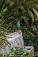 Giardino Parco Paternò del Toscano, Giardino Botanico Parco Paternò del Toscano, SANT'AGATA LI BATTIATI (CT ) 