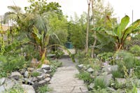 Orto Botanico Radicepura a Giarrè (CT) Orto Botanico Radicepura a Giarrè (CT), Orto Botanico Radicepura, GIARRE (CT )