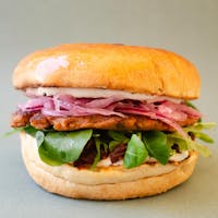 Plante Lab Plante Lab